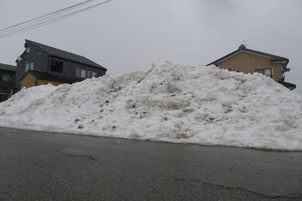 2月19日より　毎日営業いたします！